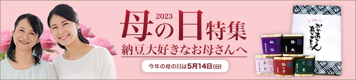 母の日特集
